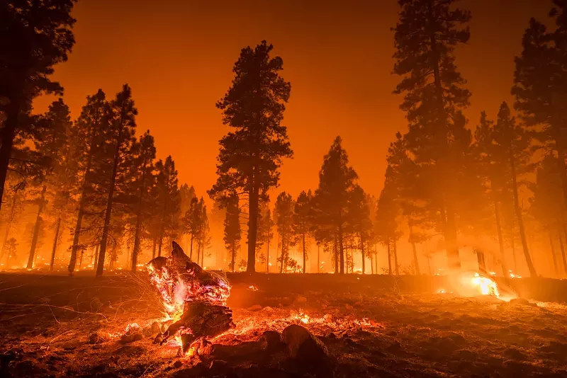 Step 1: Do nothing. Step 2: Watch the world burn. - SHUTTERSTOCK