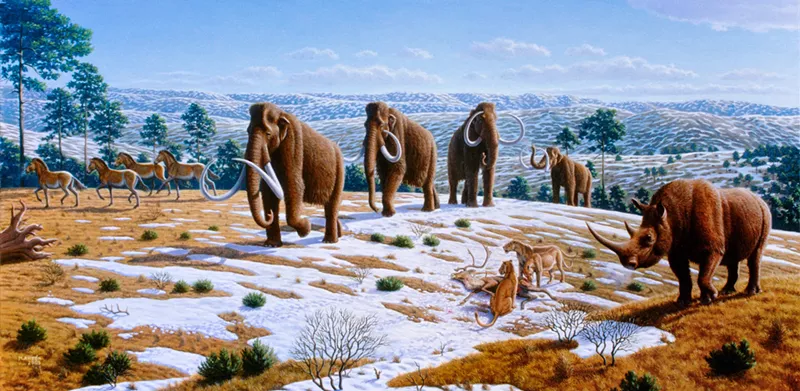 A start-up called Colossal raised $15 million to attempt to resurrect the woolly mammoth — well, sort of. - MAURICIO ANTÓN/PUBLIC LIBRARY OF SCIENCE