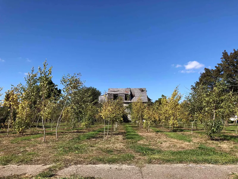 Hantz Woodlands pictured in 2018. - STEVE NEAVLING