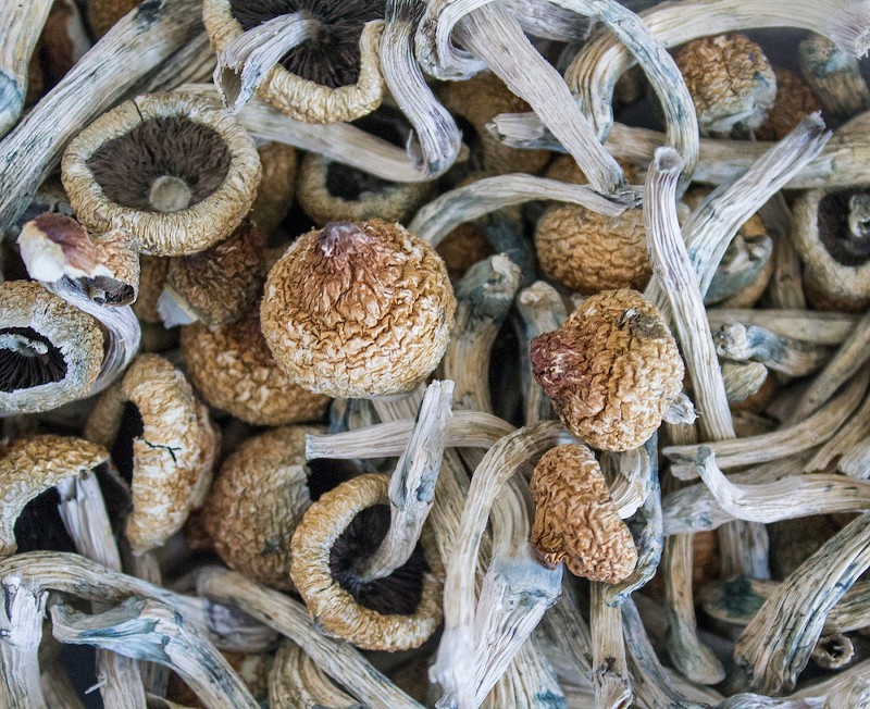 More than 60% of Detroiters voted to decriminalize magic mushrooms and other entheogenic plants. - SHUTTERSTOCK.COM