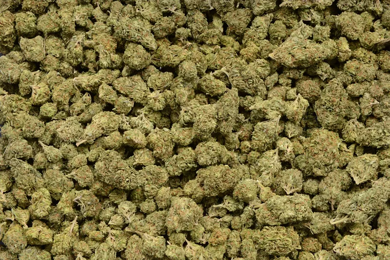 Michigan-grown green raked in the green in October. - SHUTTERSTOCK.COM