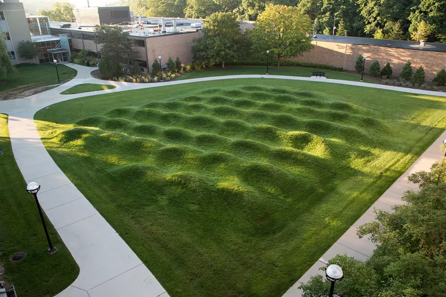Wave Field. - SCOTT C. SODERBERG