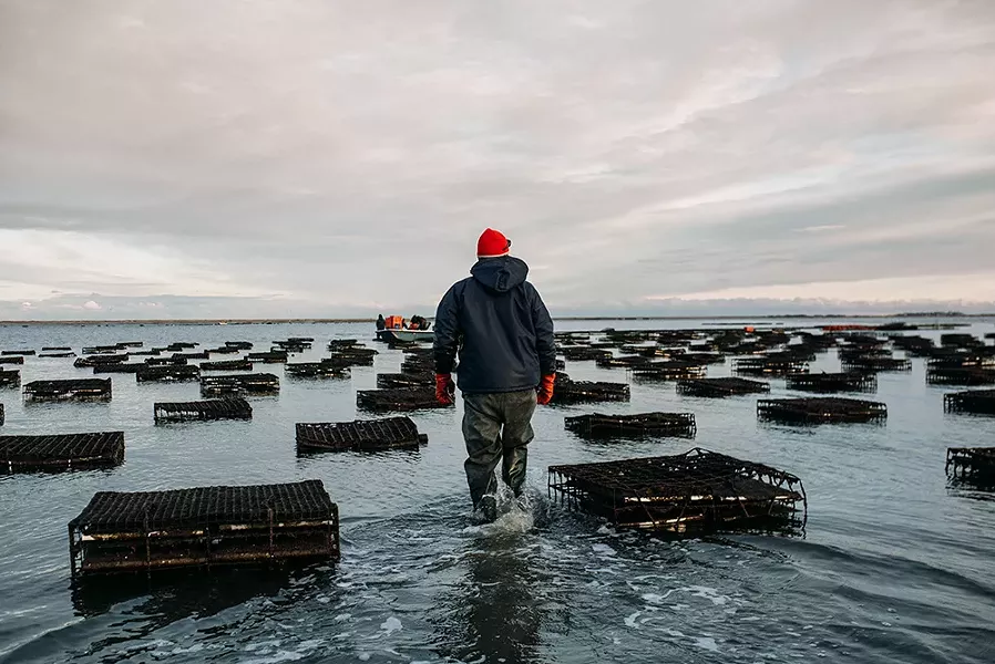 A December sunset at Massachusetts’ Island Creek Oysters. - COURTESY OF ISLAND CREEK OYSTERS