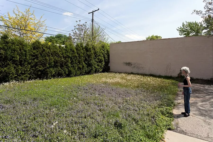Hilberry admiring the wildflowers in her Ferndale gallery’s backyard, 2011. - SCOTT HOCKING
