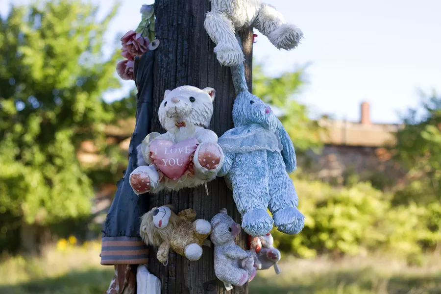 Stuffed animals hanging on a utility pole in a neighborhood near U.S. Ecology. - STEVE NEAVLING