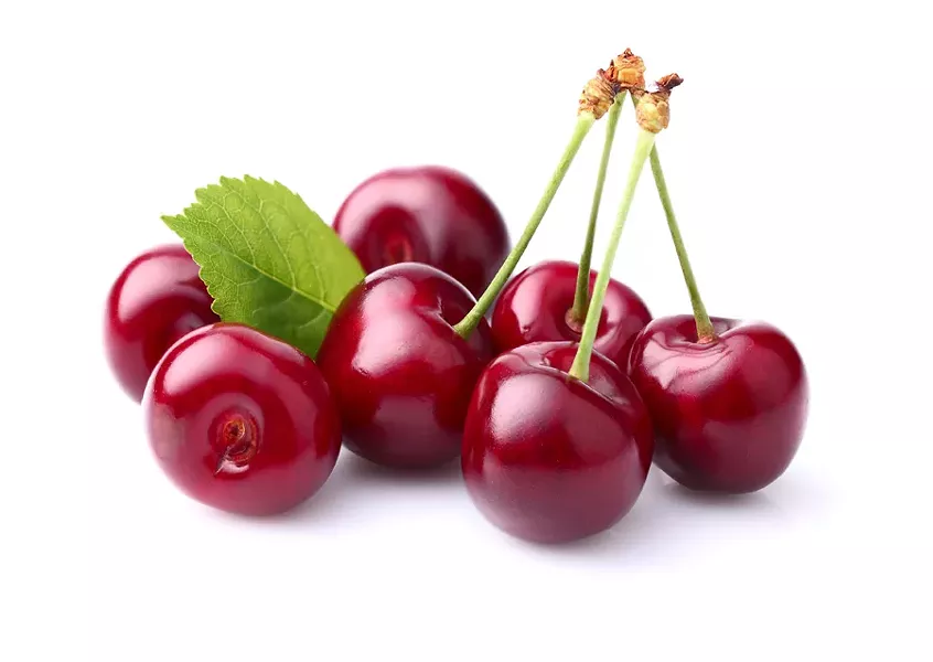 SHUTTERSTOCK