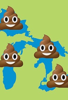 Report: Poop may make Michigan beaches unsafe for swimmers