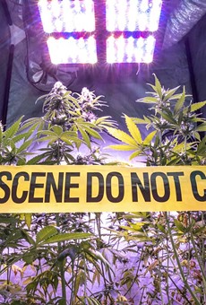 Marijuana arrests increase nationwide despite legalization in more states, FBI says