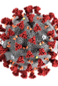 A visualization of the coronavirus.