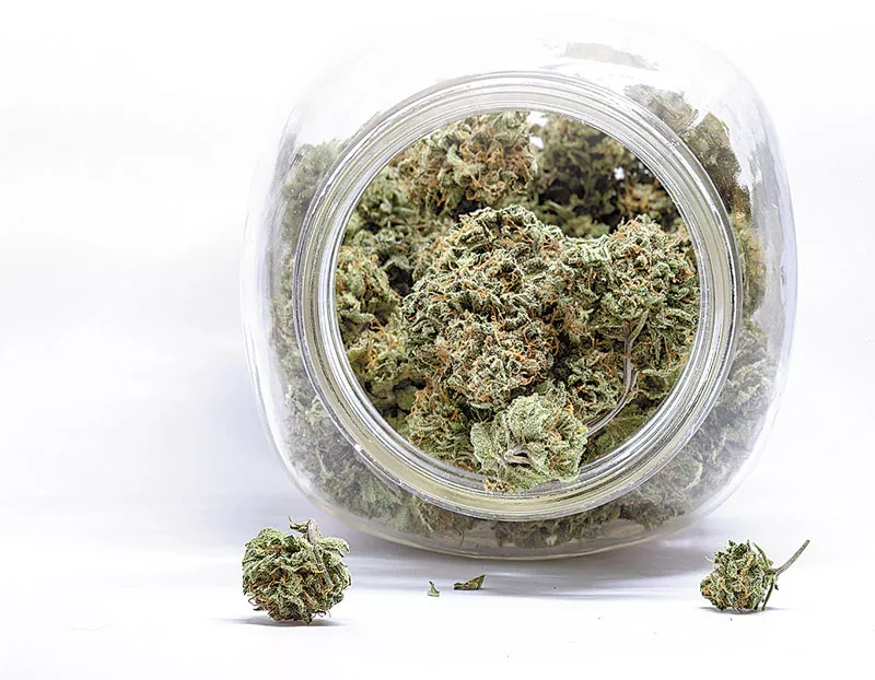 medical marijuana in maryland