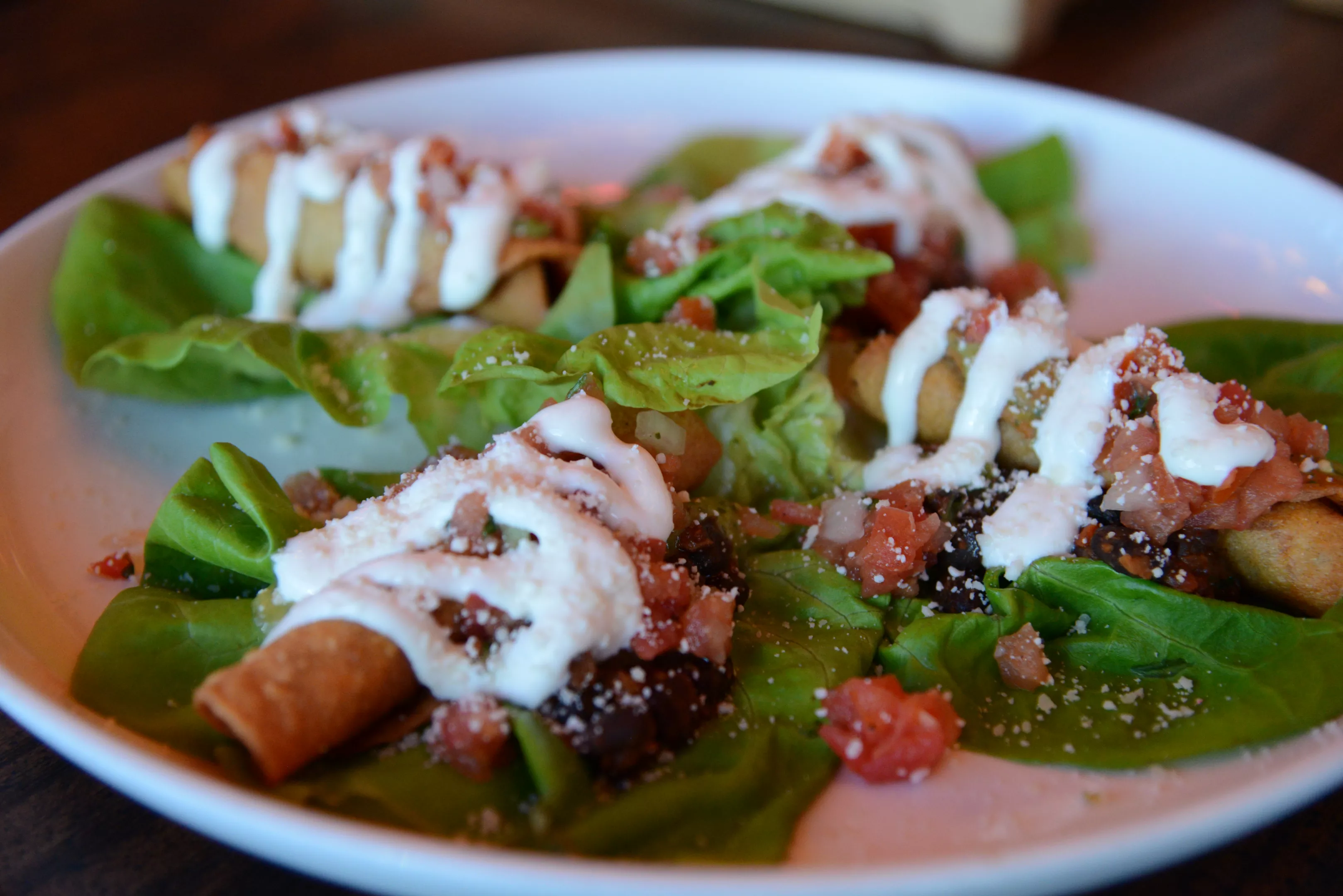 Best Mexican Food In Auburn Hills Best Mexican Food In Auburn Hills