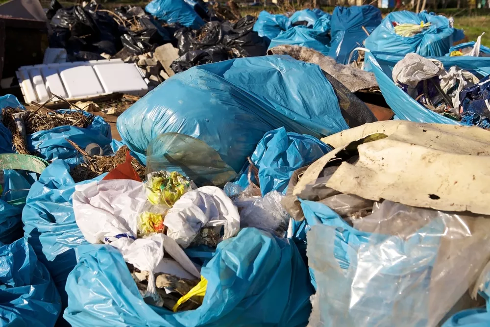 Michigan has banned banning plastic bags News Hits