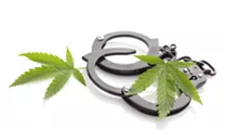 Cannabis decriminalization reduces racial disparity in arrests for possession
