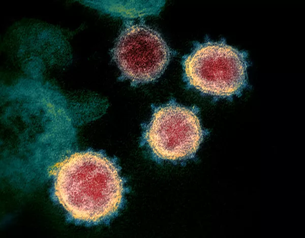 U.K. coronavirus mutation spreads to Wayne County, more people linked to University of Michigan