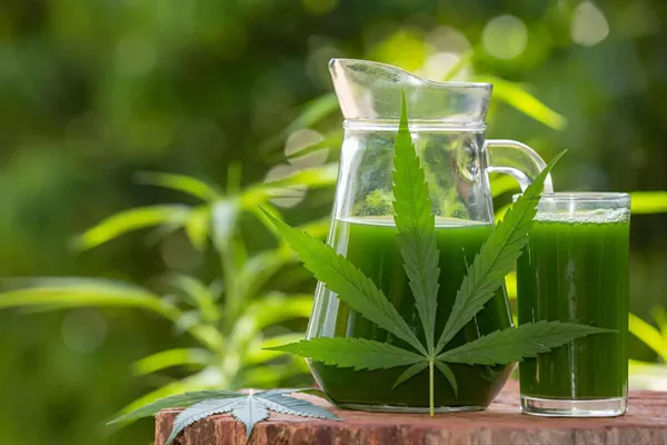 How To Detox THC From Your System Fast - Vimarsana News