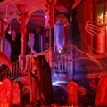 Terror on Tillson Street, Wednesday, Oct. 31, Romeo. Terror on Tillson Street, Wednesday, Oct. 31, Romeo.