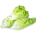 CDC warns Michiganders to avoid romaine lettuce amid new E. Coli outbreak