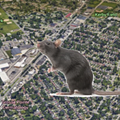 Grosse Pointe will fight rat problem around its DPW site... by moving it to Detroit