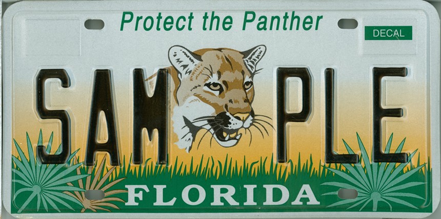 Through the $25 annual fee, the Protect the Panther tag raised $27 million for the state's panther program in just ten years. - COURTESY OF FLHSMV