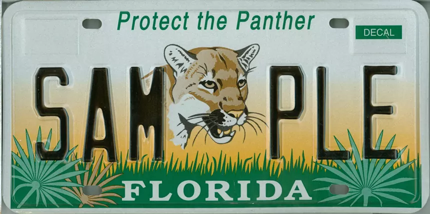 Through the $25 annual fee, the Protect the Panther tag raised $27 million for the state's panther program in just ten years. - COURTESY OF FLHSMV