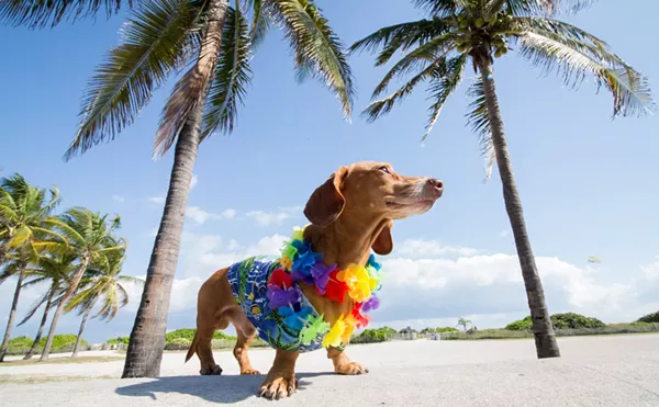 The Best Free Things to Do in Miami This Week