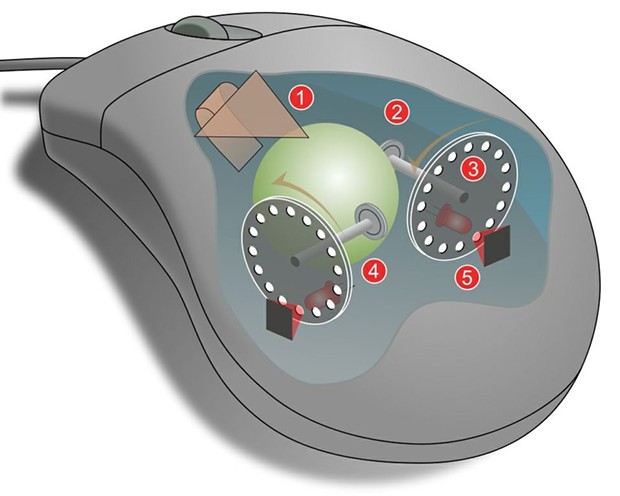 1: Pulling the mouse turns the ball. 2: X and Y rollers grip the ball and transfer movement. 3: Optical encoding disks include light holes. 4: Infrared LEDs shine through the disks. 5: Sensors gather light pulses to convert to X and Y velocities. - WIKIMEDIA COMMONS