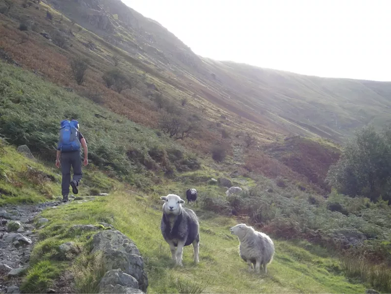 Above Borrowdale heading up Stonethwaite Beck, Lake District. - PHOTO BY BARRY EVANS