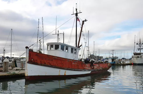 The Stephanie, a former trawler built in 1917 in San Francisco by Genoa Boat Works, is the second oldest boat on the bay (the Madaket's the oldest). Cody Hills is slowly restoring it. - PHOTO BY DREW HYLAND