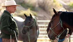 Go See <em>Buck</em>