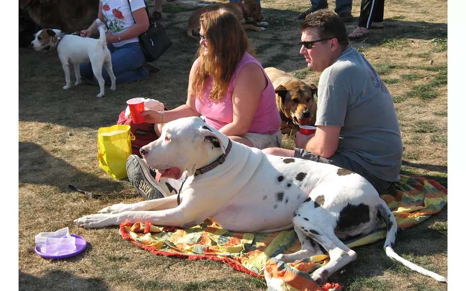 dogs and their people at Woofstock - PHOTO BY BOB DORAN