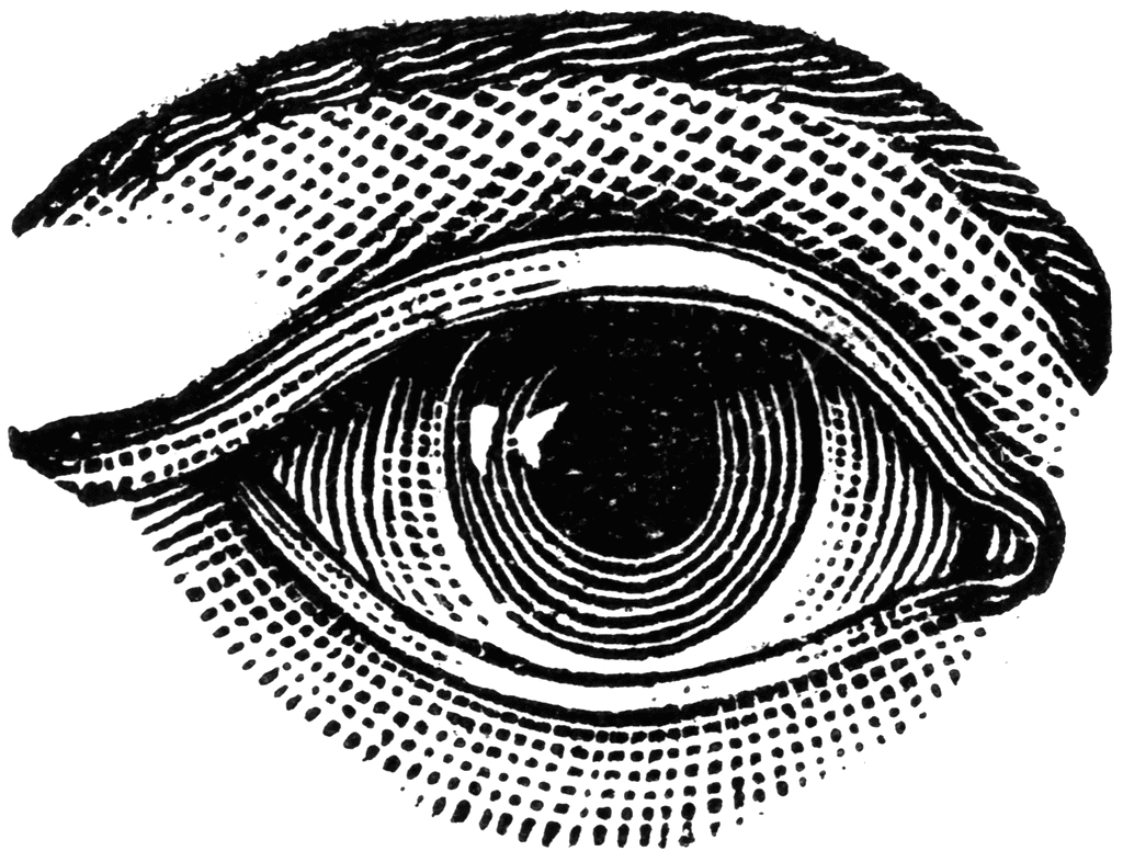 arcata-eye.gif