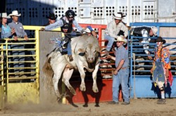 PHOTO BY KIM SALLAWAY WWW.KIMSALLAWAYPHOTOGRAPHY.COM - Floating bull - Garberville Rodeo