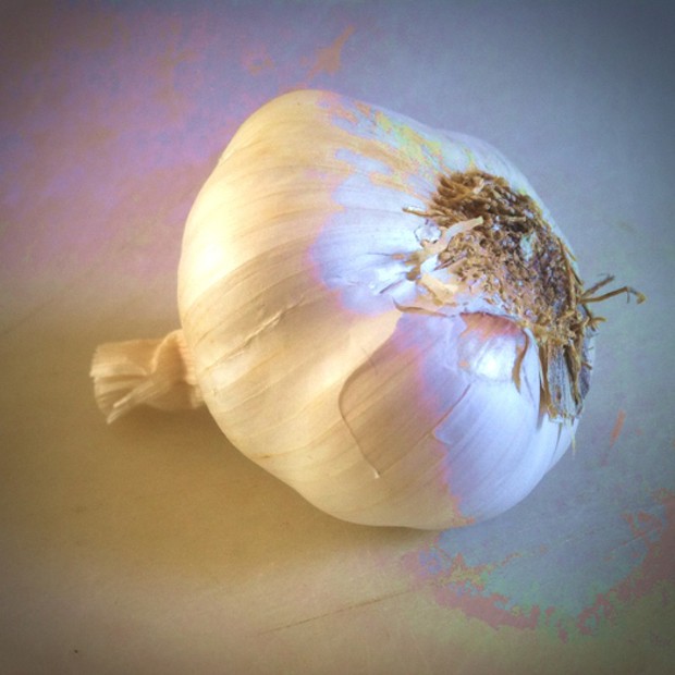 Garlic - PHOTO BY BOB DORAN