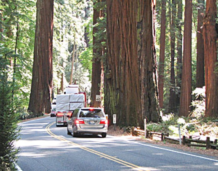 Parting The Redwood Curtain