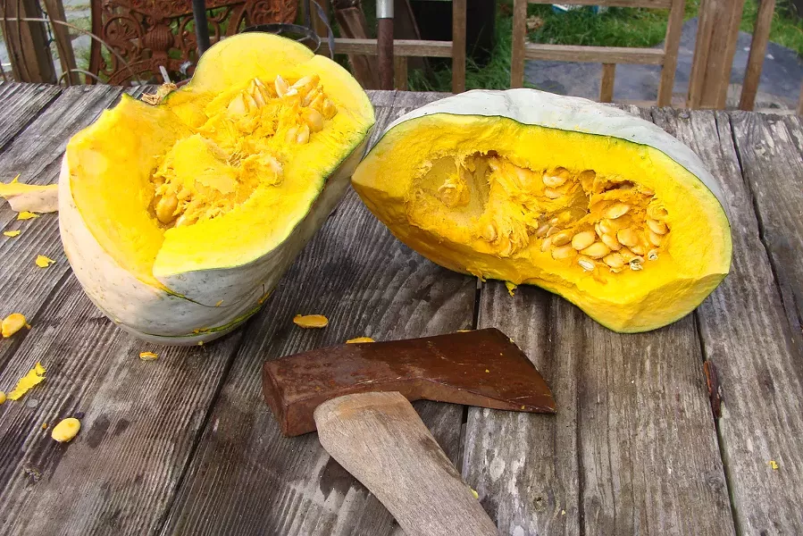 Hokkaido squash - PHOTO BY JADA CALYPSO BROTMAN