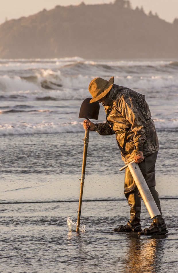Louie Sousa, of Eureka, of Eureka, joined 40 or 50 others in pursuit of razor clams on Clam Beach on a low tide just before sunset on Tuesday, Jan. 20. - MARK LARSON