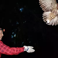 NPR Barred Owls vs. Spotted Owls