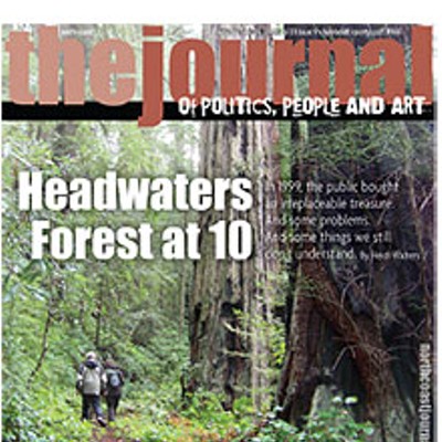 Headwaters Forest at 10