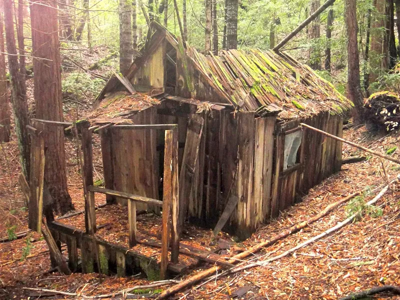 Remains of cabin at Johnson Camp - PHOTO BY BARRY EVANS