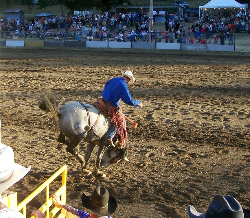 Saddle bronc busts out - PHOTO COURTESY OF GARBERVILLE RODEO