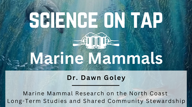 Science on Tap: Marine Mammals