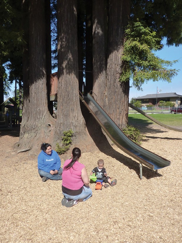 Sequoia Park playground - PHOTO BY SCOTTIE LEE MEYERS