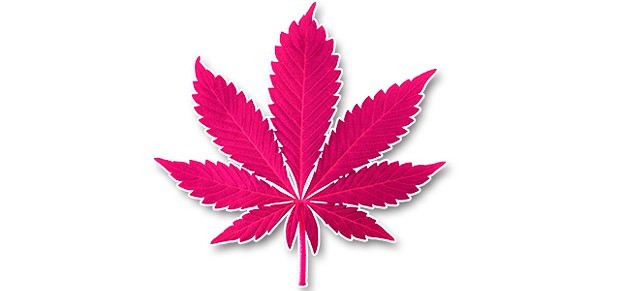 cannabis-cancer-2.jpg