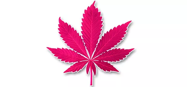 cannabis-cancer-2.jpg