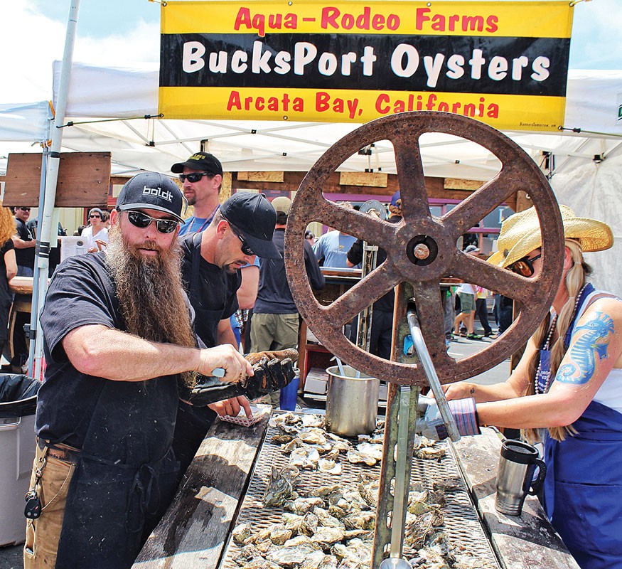 The epically bearded Steve Bohner of Alchemy Inc. grills and shucks bivalves from Aqua-Rodeo Farms at Arcata Main Street's 24th annual Oyster Festival, Saturday, June 14, on the plaza. - PHOTO BY BOB DORAN