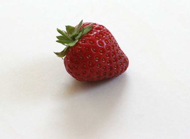 The noble strawberry - PHOTO BY BOB DORAN