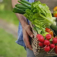 Harvesting Your Haul