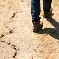 Newsom Declares Drought Emergency Across California