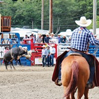 Fortuna Rodeo Action this Weekend