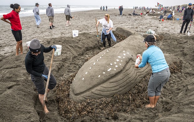 The Best of Show sand sculpture "Tale of the Plastic Whale," neared completion with the help of Northcoast Environmental Center volunteers Taylor Zenobia (left), Casey Cruikshank (right) and NEC Coastal Program Coordinator Madison Peters. - PHOTO BY MARK LARSON
